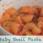 Baby Shell Pasta with Homemade Tomato Sauce