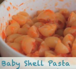 Baby Shell Pasta with Homemade Tomato Sauce