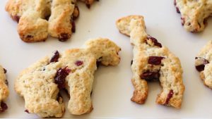 Cranberry scones zoo recipe