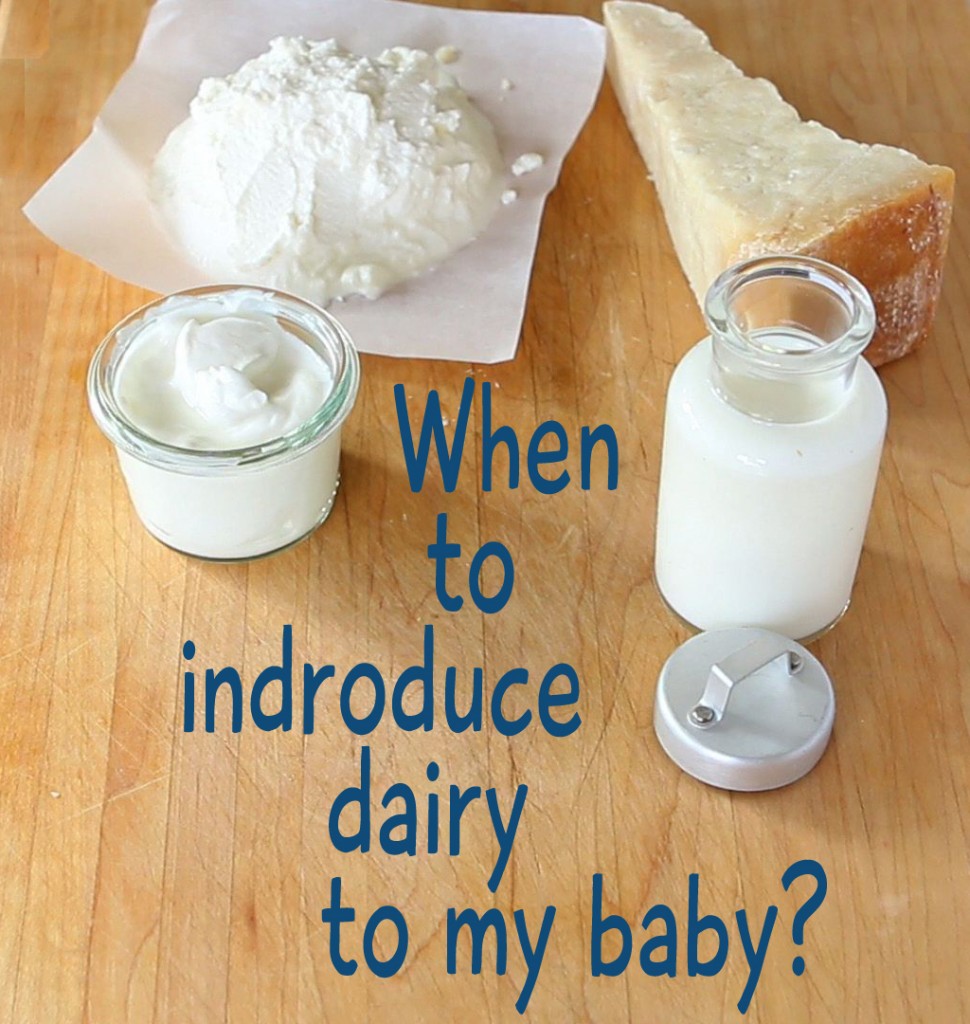 baby diet - dairy