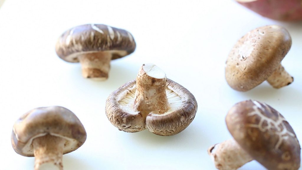 mushroom baby food2
