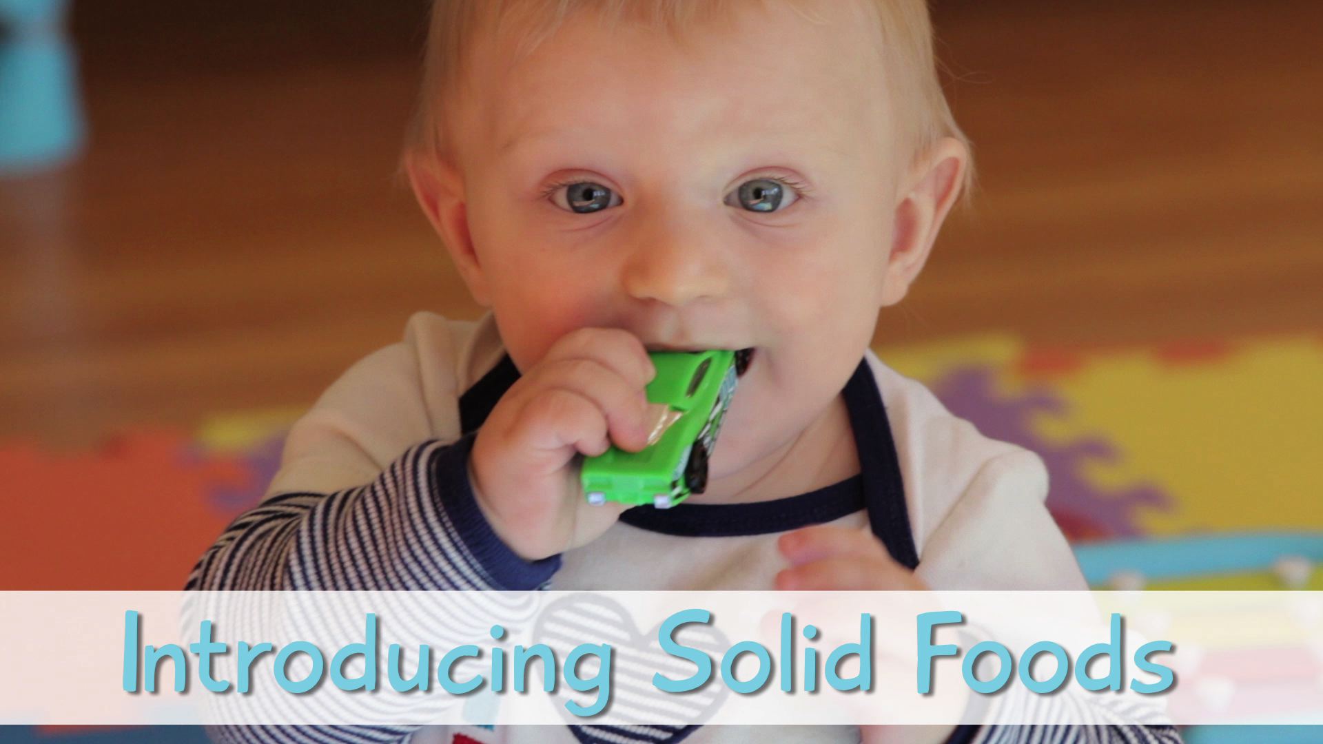 Introducing Solids Scotland introducing solids | Buona Pappa