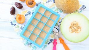 Melon Apricot Dates baby puree' +6M