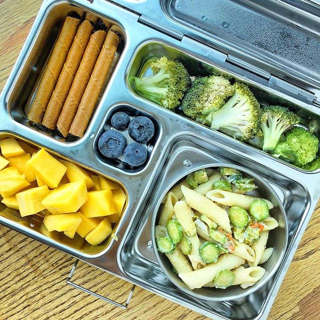 Pasta salad with baby zucchini (leftover sauce from the other night) + steamed broccoli + mango bites + blueberries + chocolate sticks.

Happy Thursday