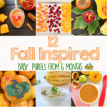 +12 Fall Inspired Baby Food Recipes